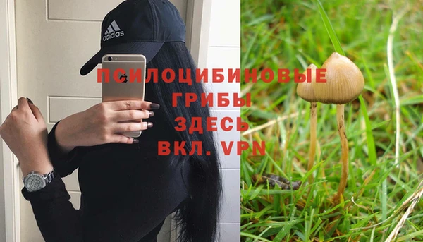 ешки Алексеевка